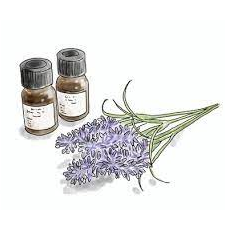 美容アイテム・サービスのオススメを厳選してご紹介!(まとめ)